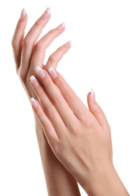 Beauty Elegant Female Hands with French Manicure Isolated White