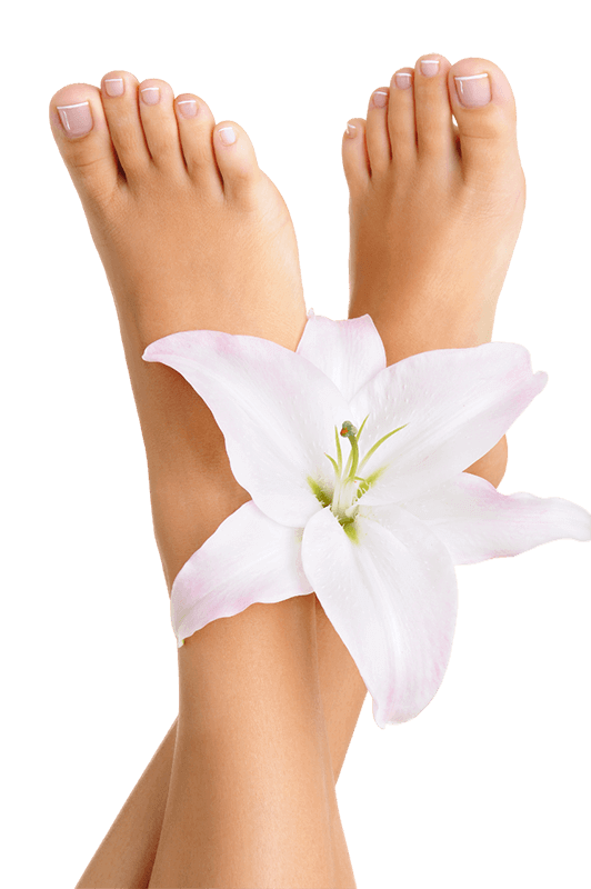Healthy Elegant Wellgroomed Female Feet with Flowers